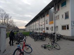 IMG_20181123_095620111